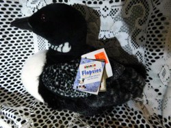 loon main view